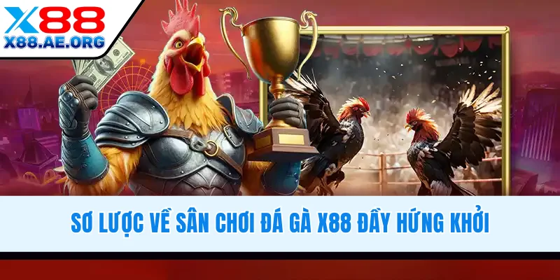 Sơ lược về sân chơi đá gà X88 đầy hứng khởi